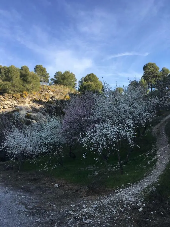 Holiday home Alojamiento Casa Pepa Villa Moclin Spain